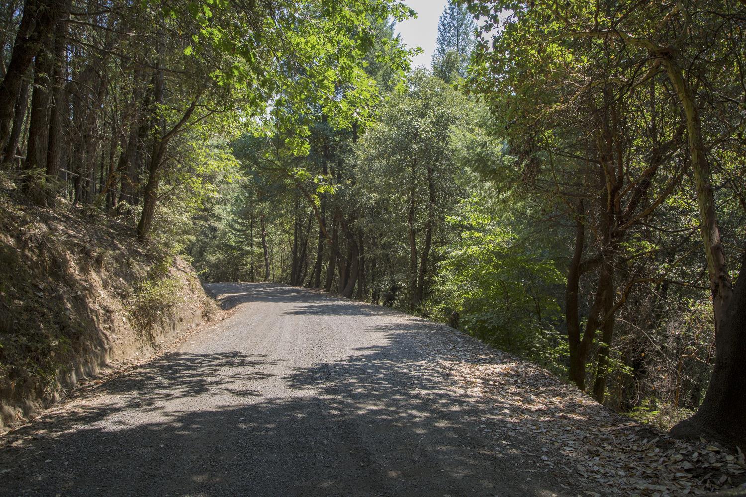 E Breedlove Lane, Georgetown, California image 20