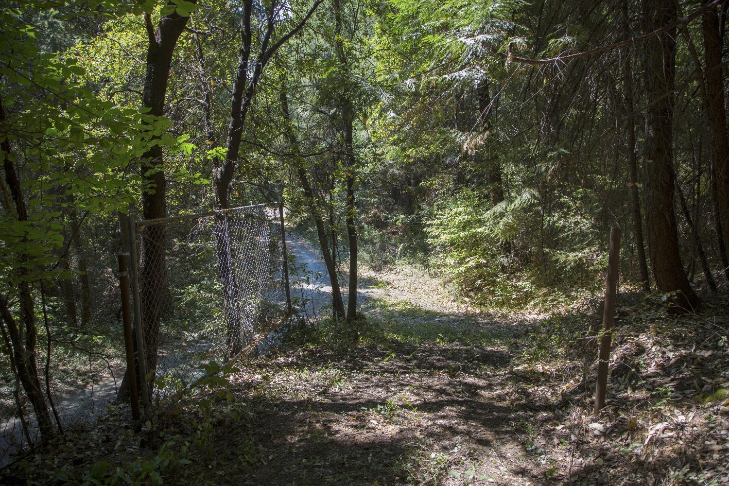 E Breedlove Lane, Georgetown, California image 3