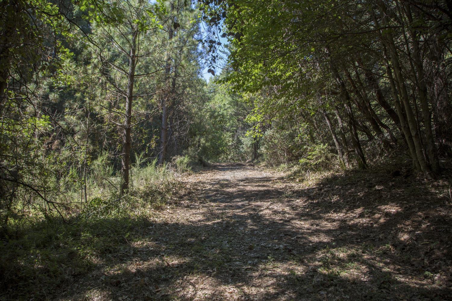E Breedlove Lane, Georgetown, California image 7