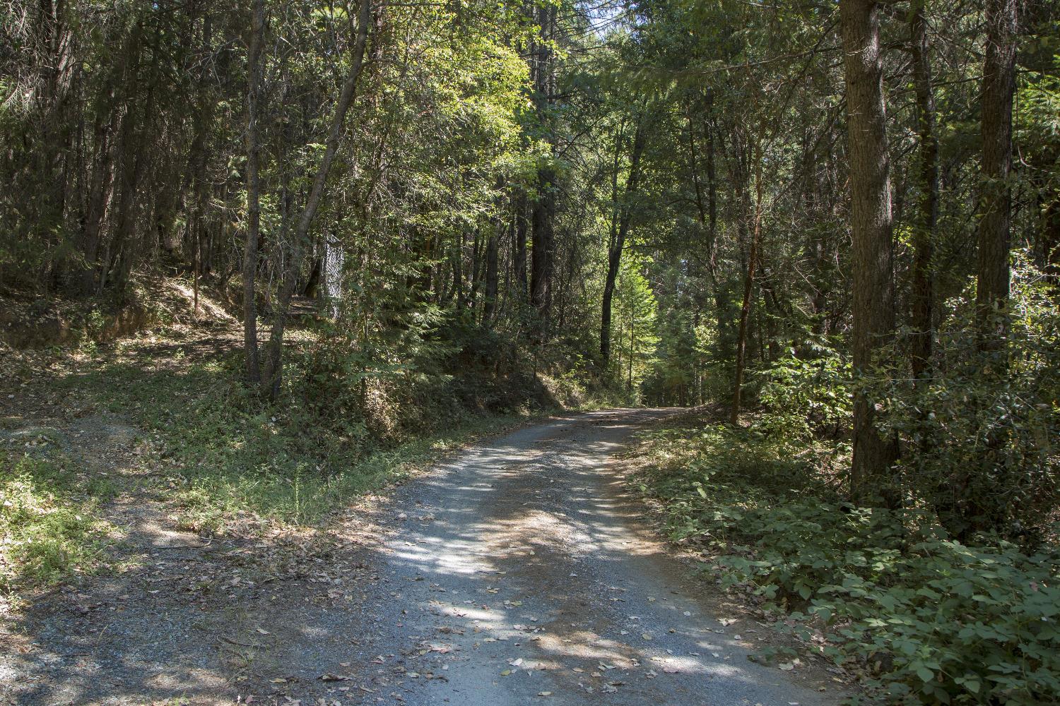 E Breedlove Lane, Georgetown, California image 2
