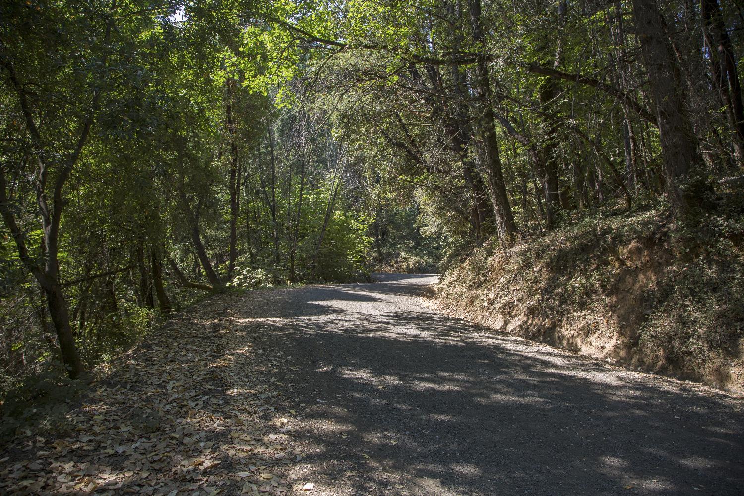 E Breedlove Lane, Georgetown, California image 15