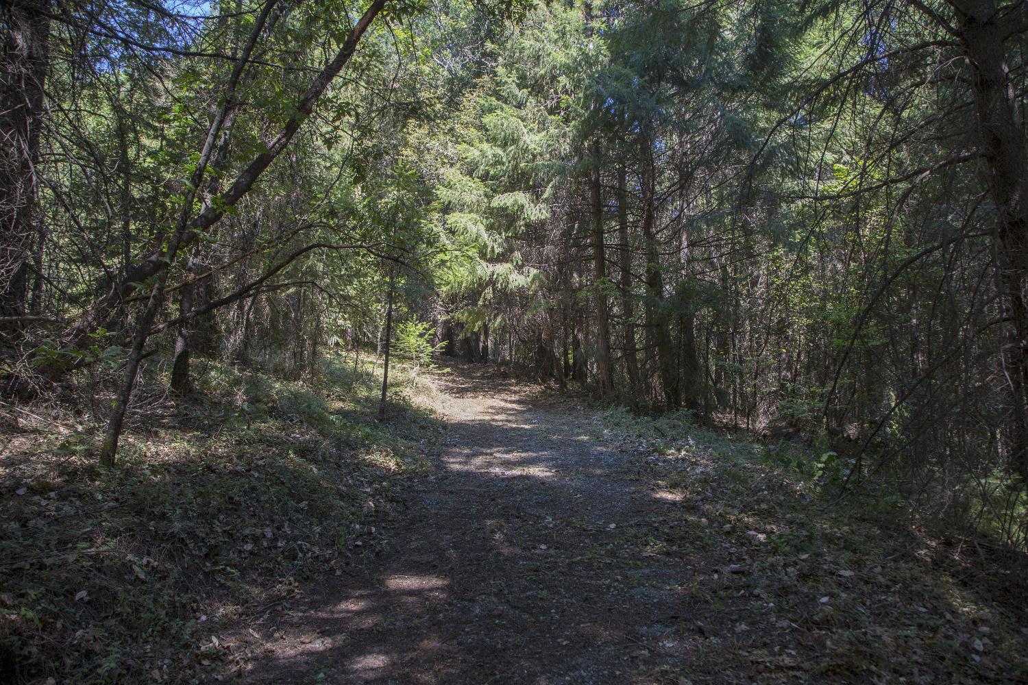 E Breedlove Lane, Georgetown, California image 5