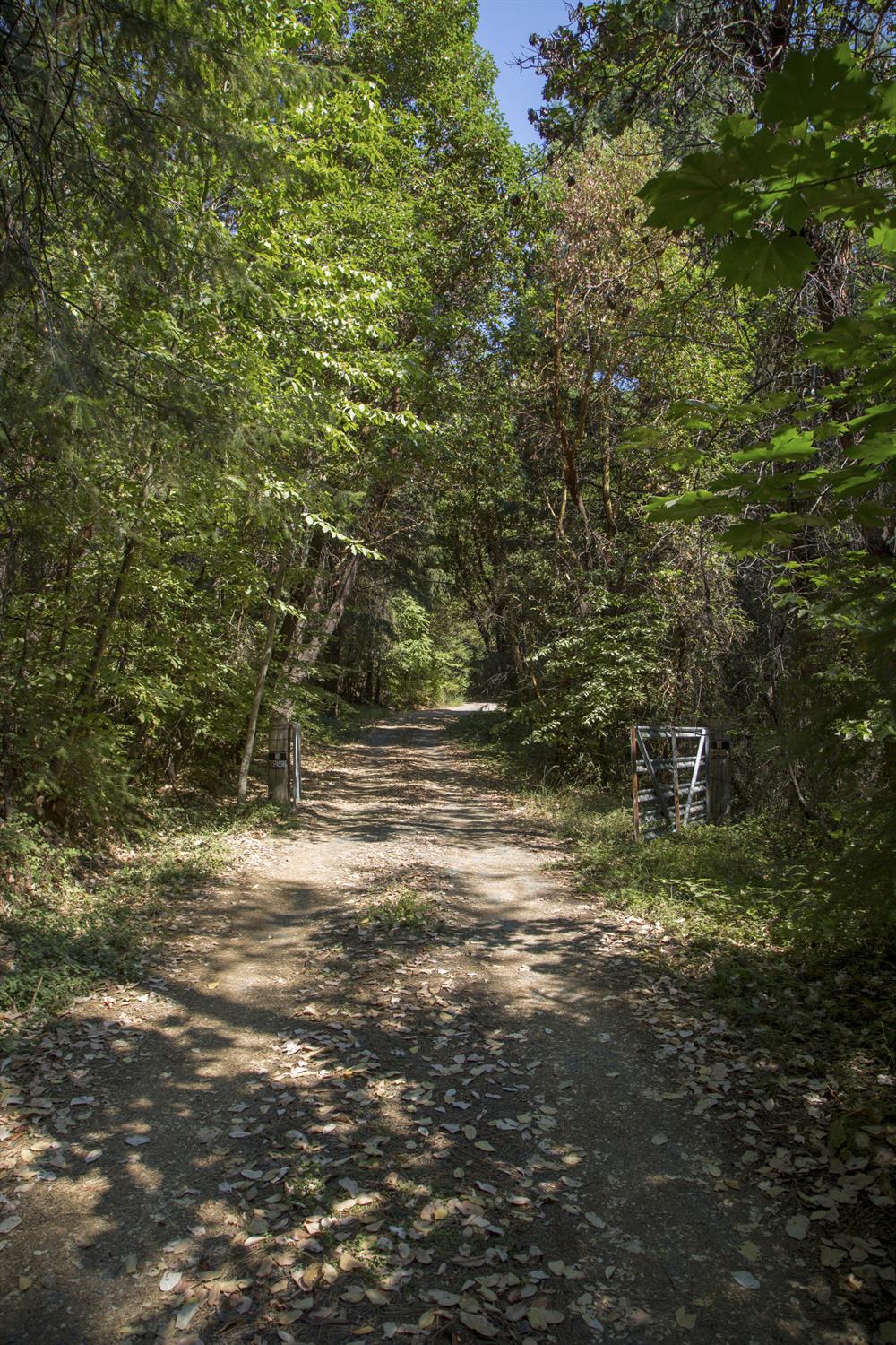 E Breedlove Lane, Georgetown, California image 14