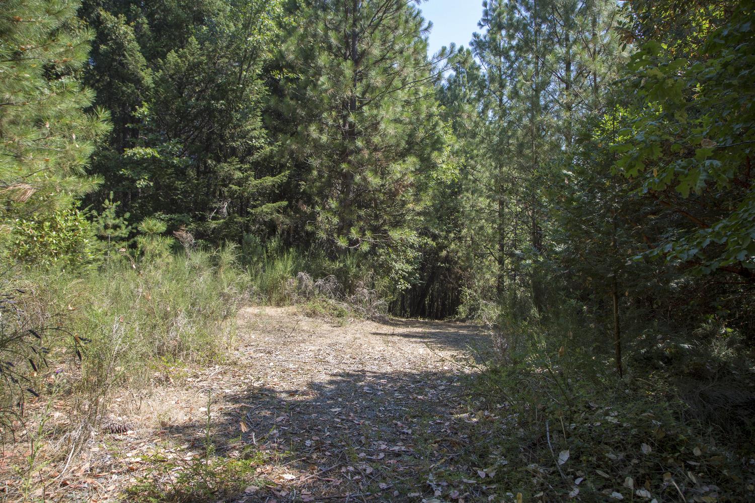 E Breedlove Lane, Georgetown, California image 9