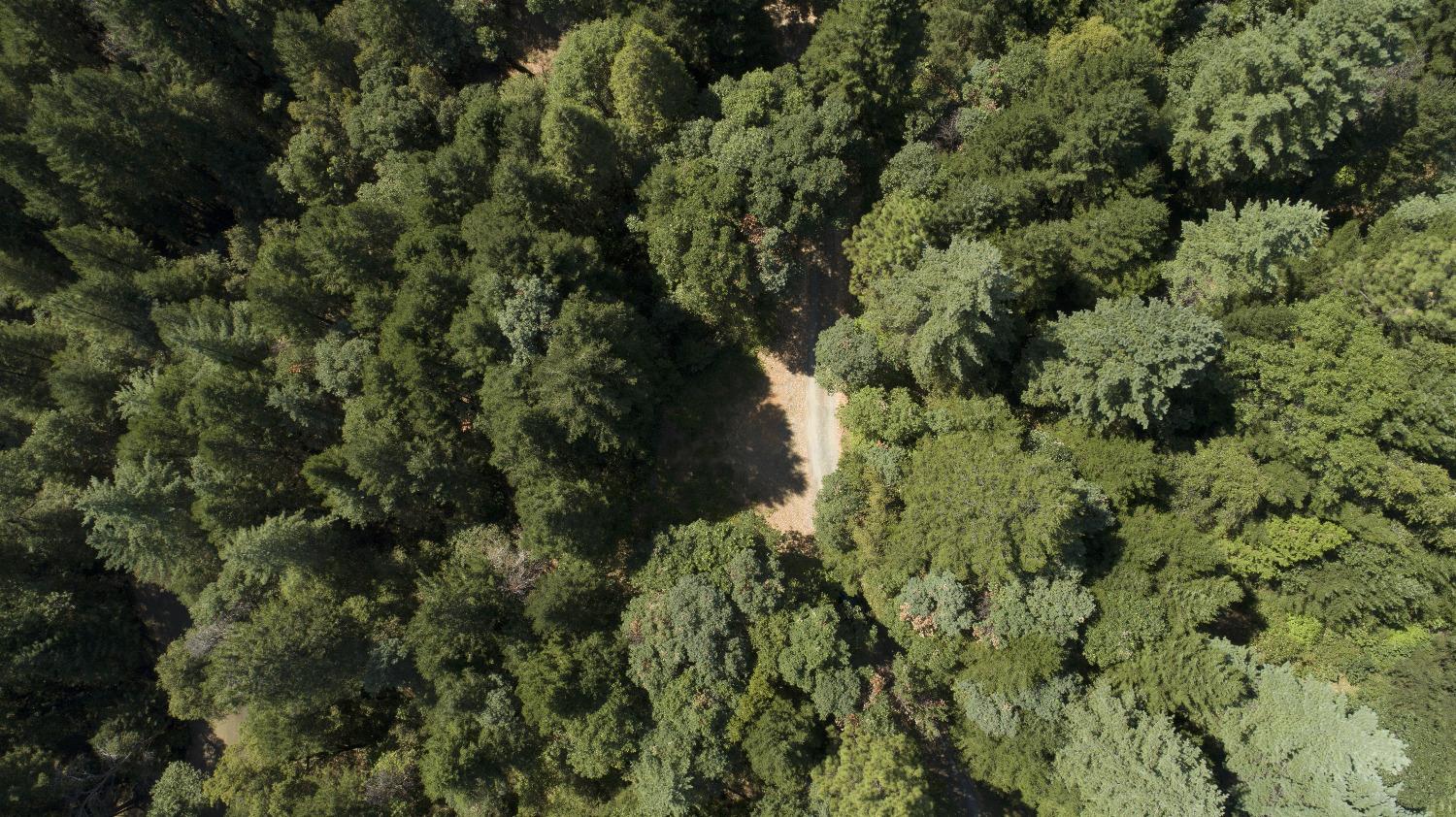 E Breedlove Lane, Georgetown, California image 26