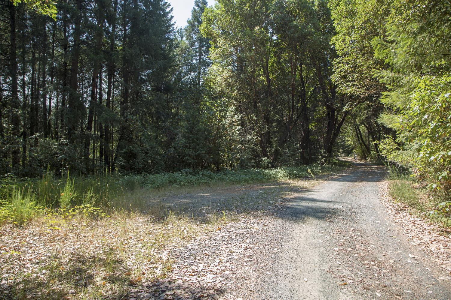 Build your dream home on this beautifully treed 20 acres. With a remote feel you're only 3.2 miles from town.This very private parcel has a leveled and cleared building site, with other choices of potential sites and local views. Loaded with mature and majestic Oak, Pine and Madrone. Plenty of nearby recreational opportunities include the American River, Stumpy Meadows, Union Valley, French Meadows, Loon, Ice House and Hell Hole Lakes. Bring your imagination and make this property yours while enjoying abundant wildlife and beautiful surroundings.