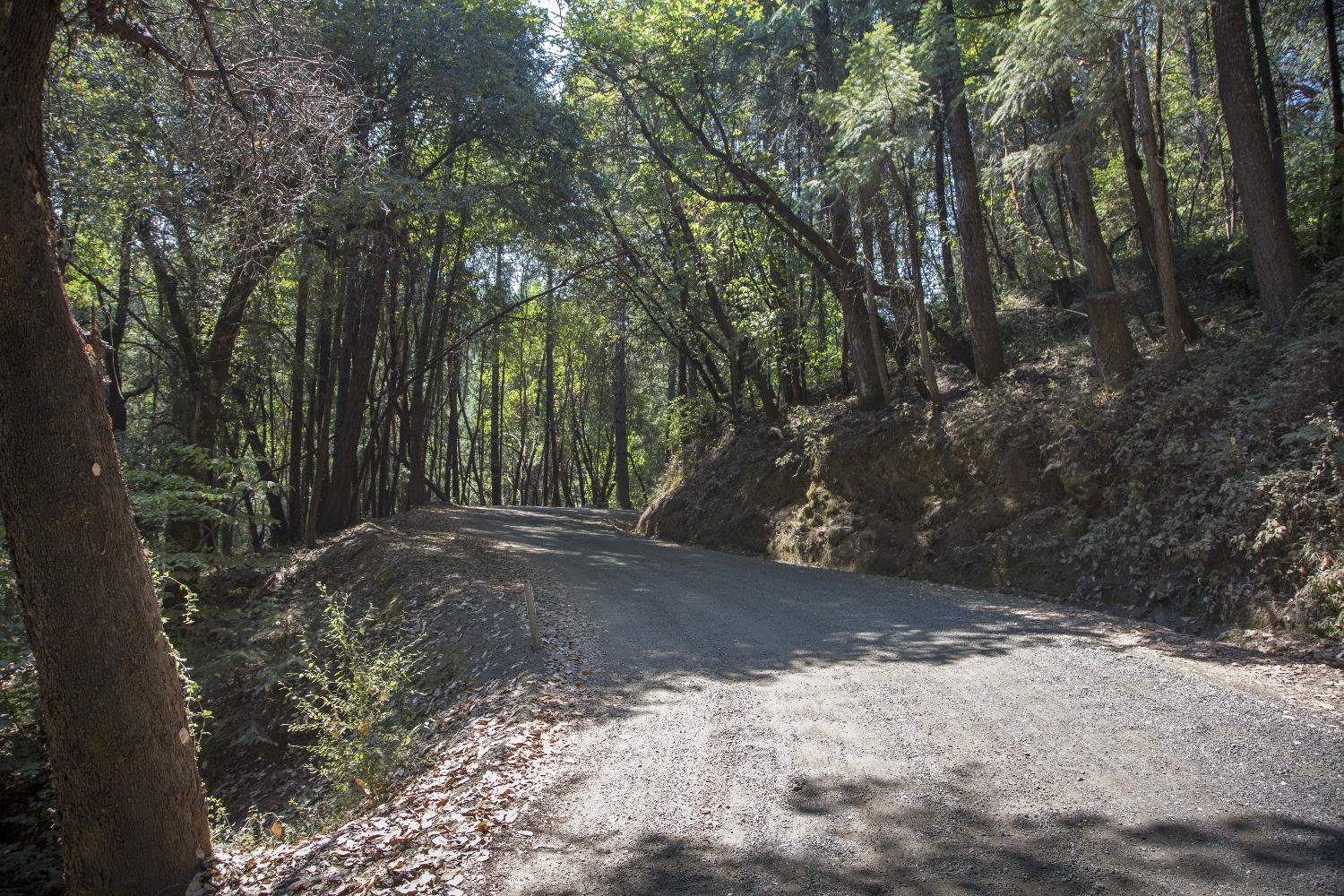 E Breedlove Lane, Georgetown, California image 19