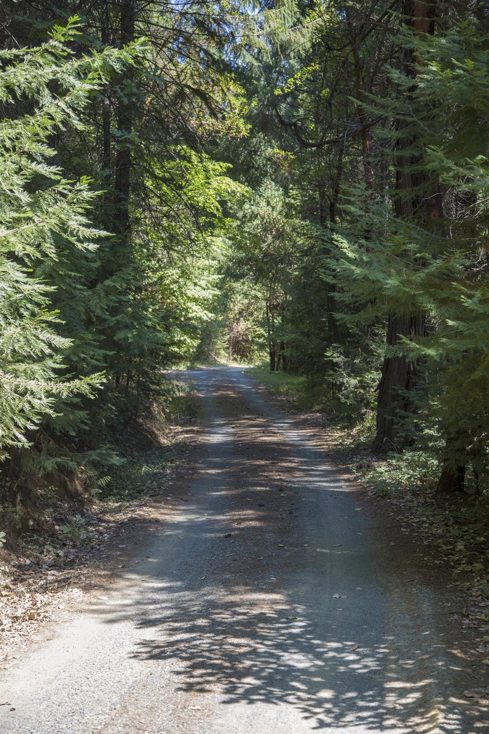 E Breedlove Lane, Georgetown, California image 11