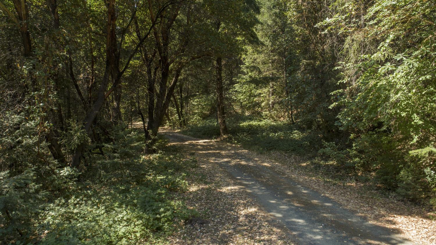 E Breedlove Lane, Georgetown, California image 22
