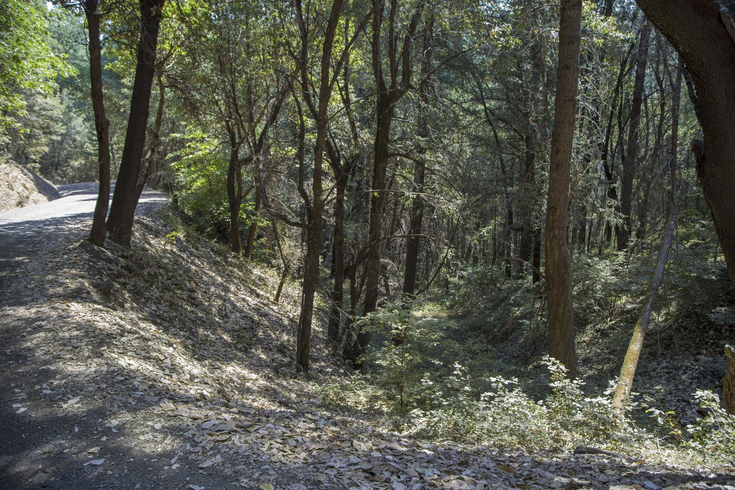 E Breedlove Lane, Georgetown, California image 18
