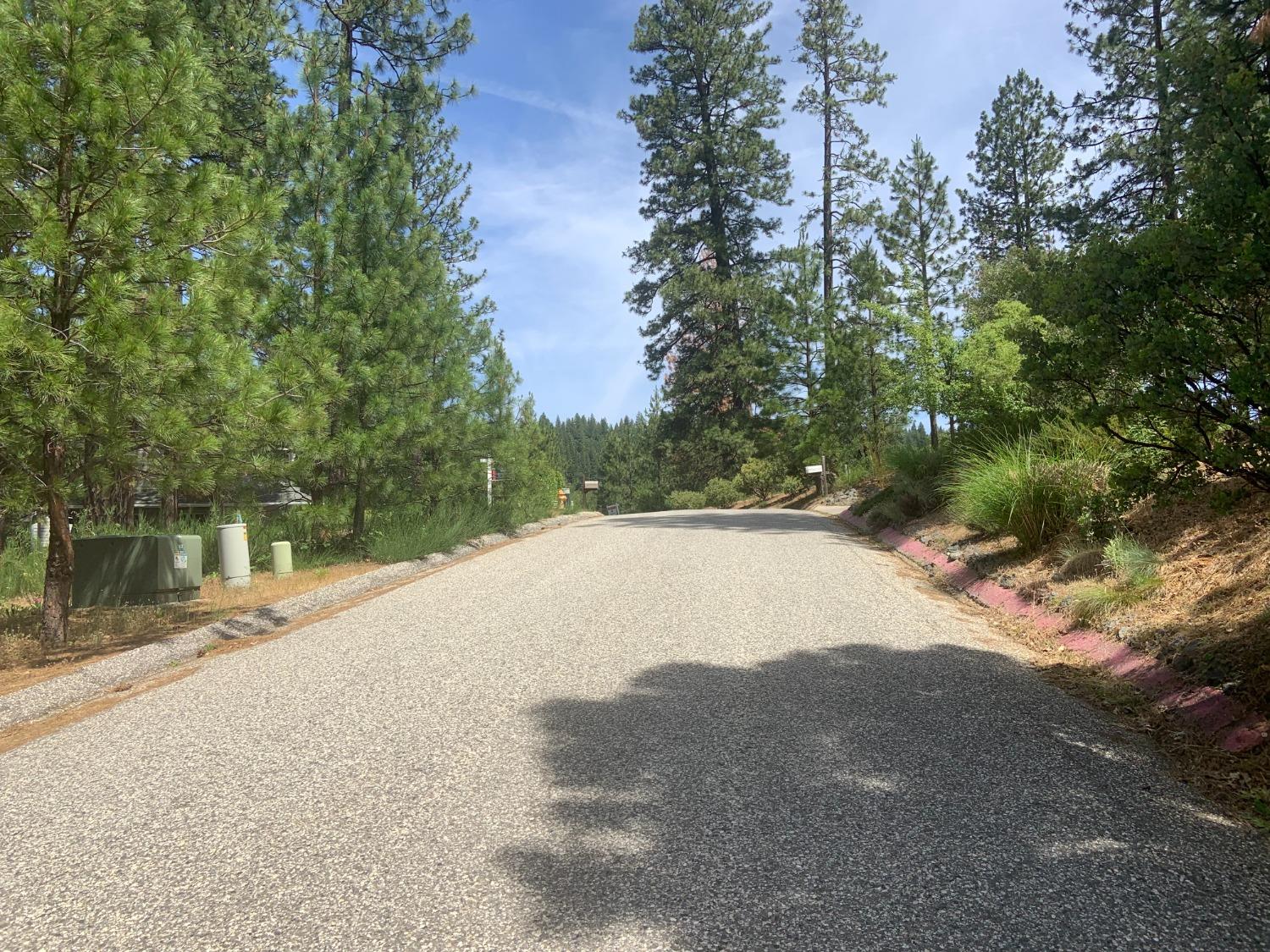 Chief Kelly Drive, Nevada City, California image 2