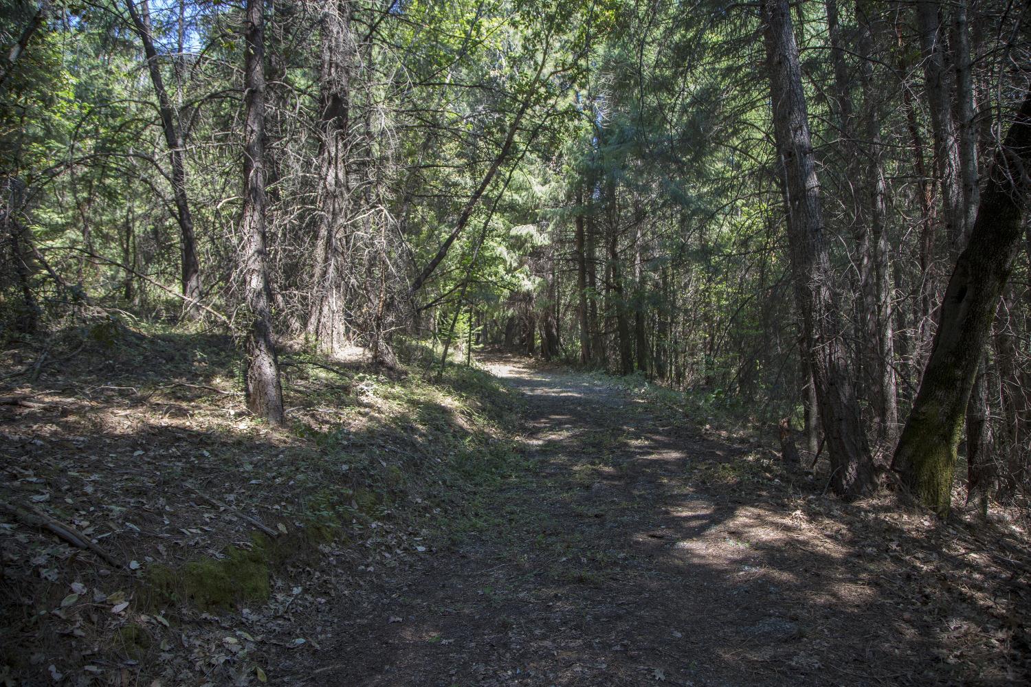 E Breedlove Lane, Georgetown, California image 4