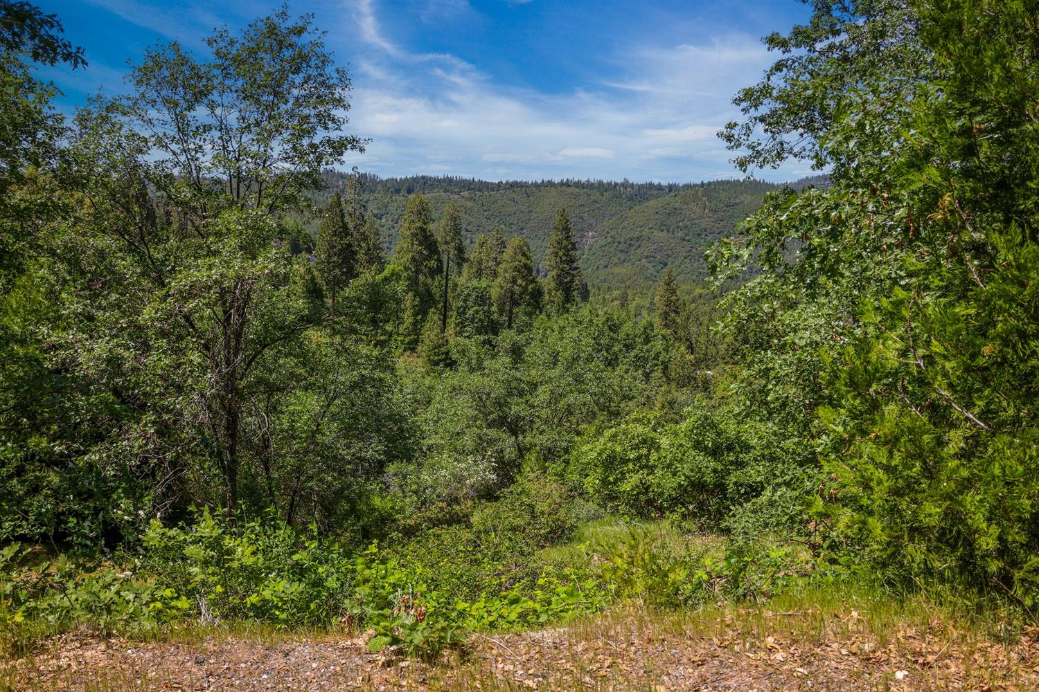 Photo of 371 Snowberry Ct in Murphys, CA