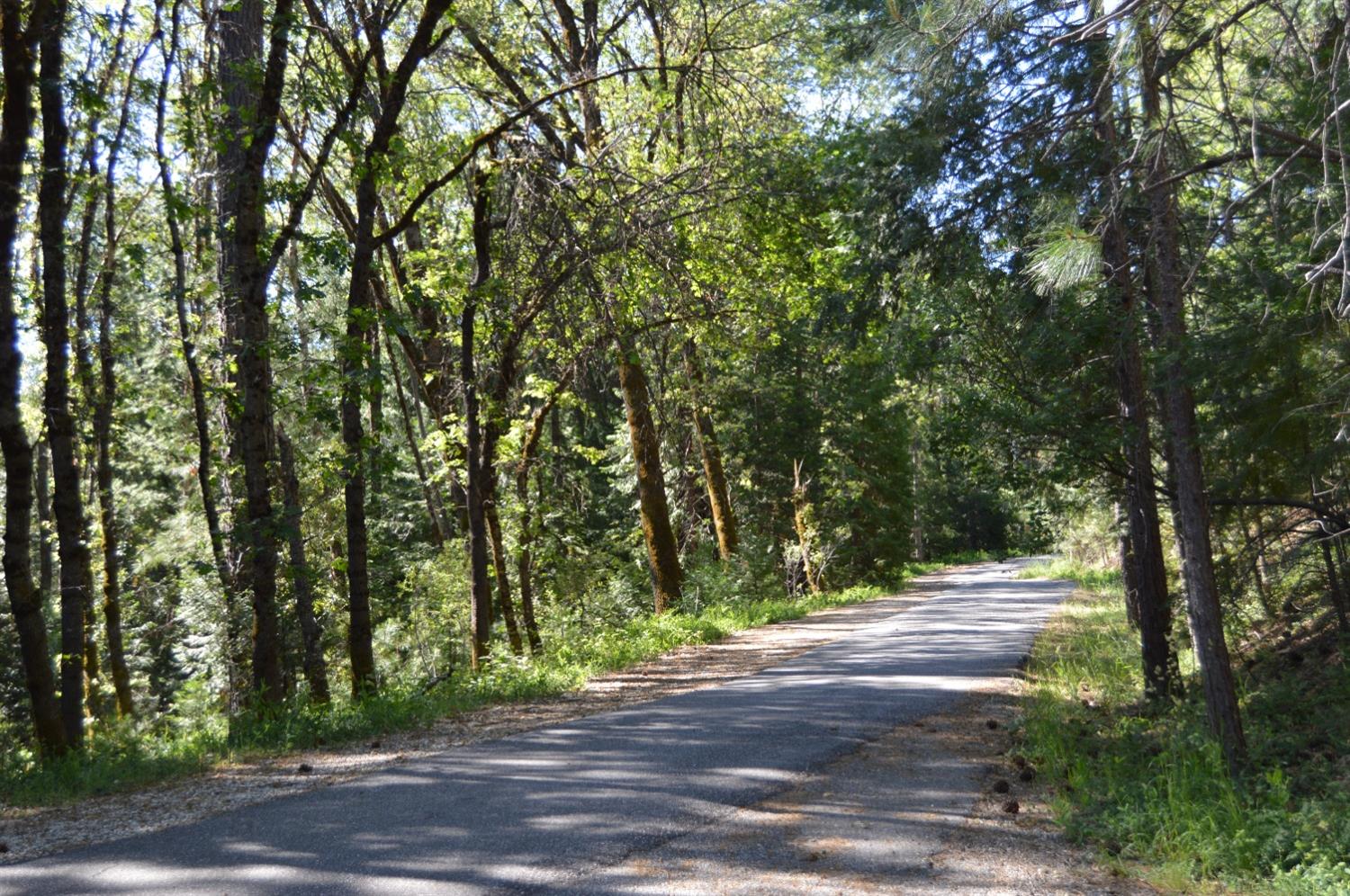 Photo of 14599 Greenpeace Ln in Grass Valley, CA