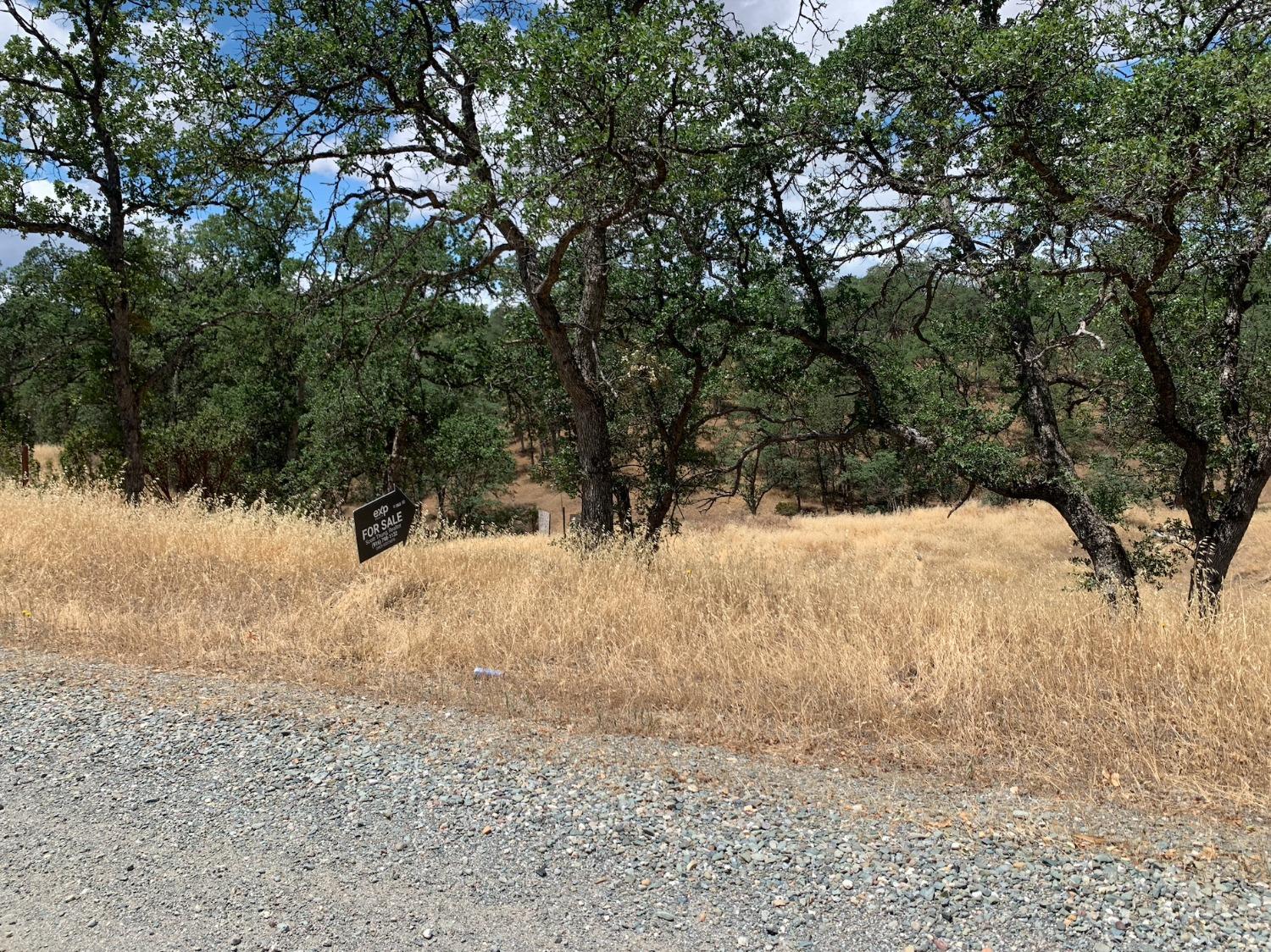 7145 Whitetail Way, Corning, CA 96021