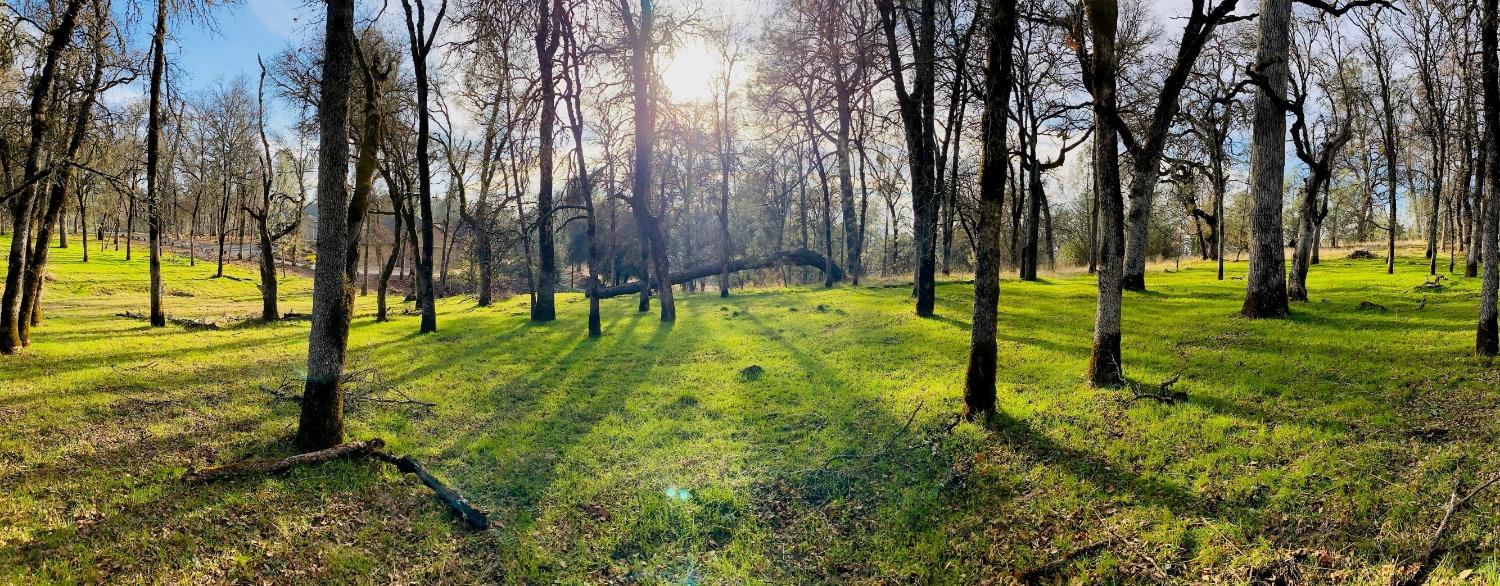 Lot 178 Darkhorse Drive, Auburn, California image 1