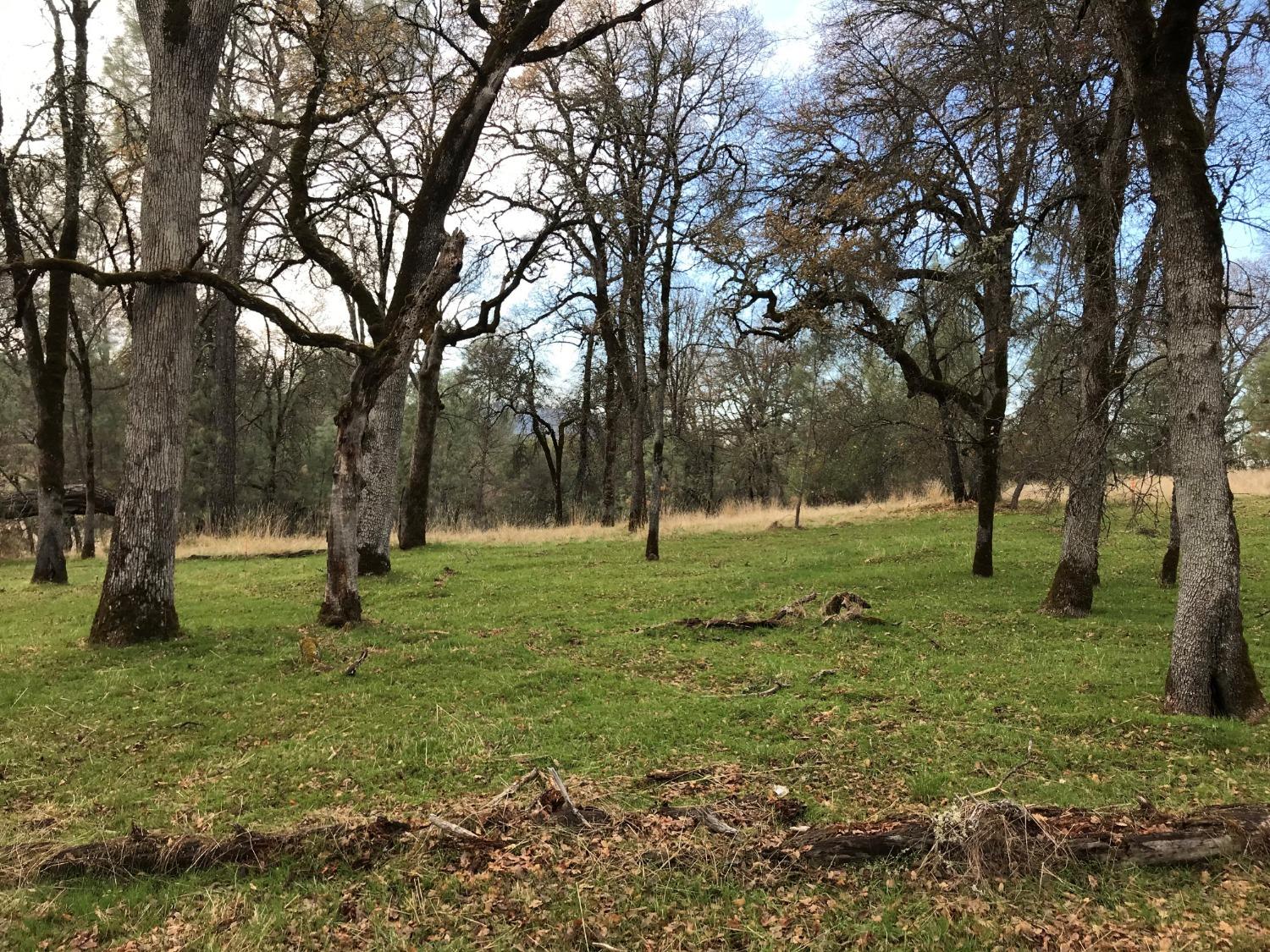 Lot 178 Darkhorse Drive, Auburn, California image 5
