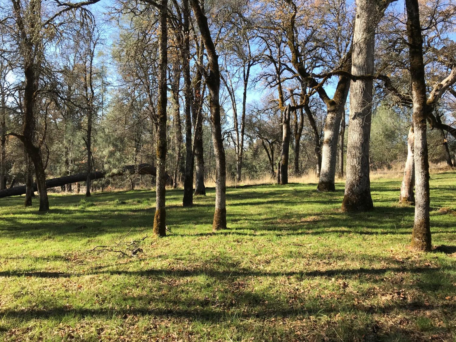 Lot 178 Darkhorse Drive, Auburn, California image 4