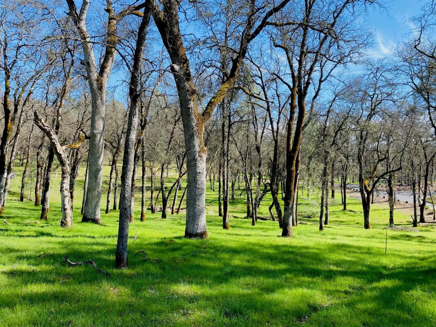 Lot 178 Darkhorse Drive, Auburn, California image 3