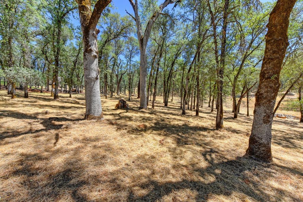 Lot 178 Darkhorse Drive, Auburn, California image 14