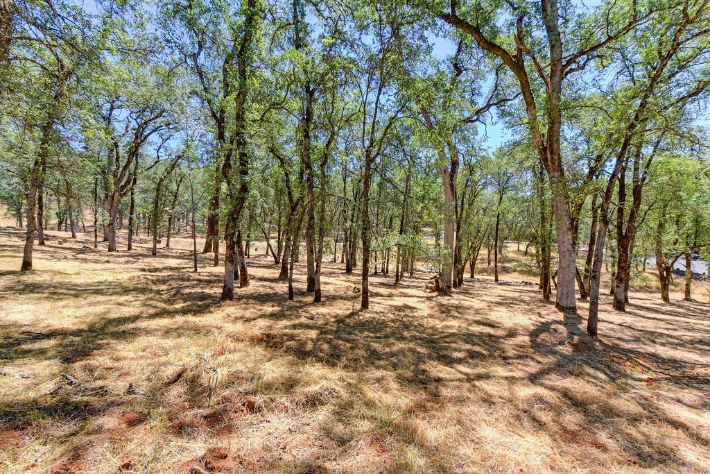 Lot 178 Darkhorse Drive, Auburn, California image 12