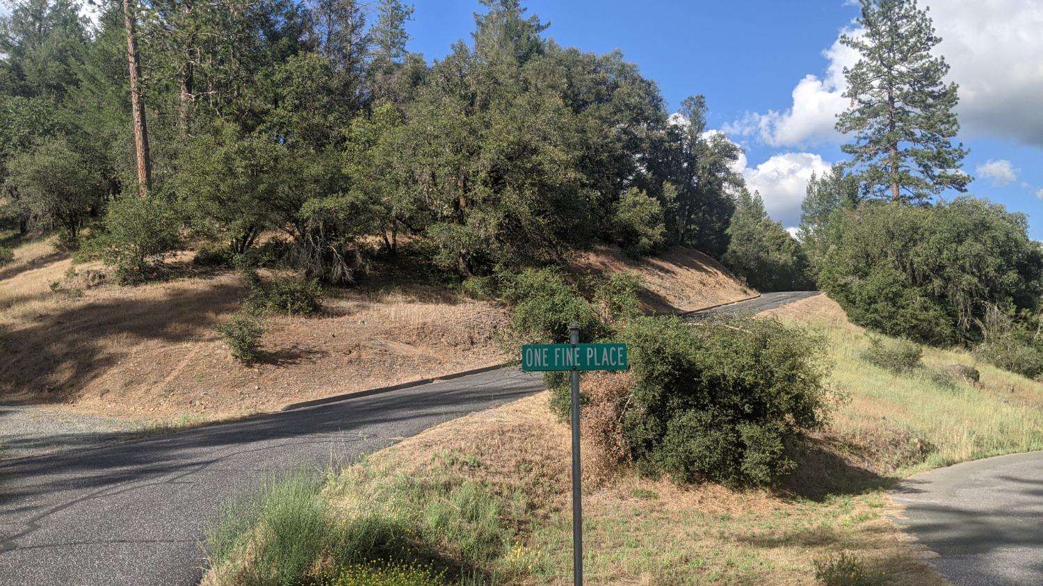 Photo of One Fine Pl in Colfax, CA