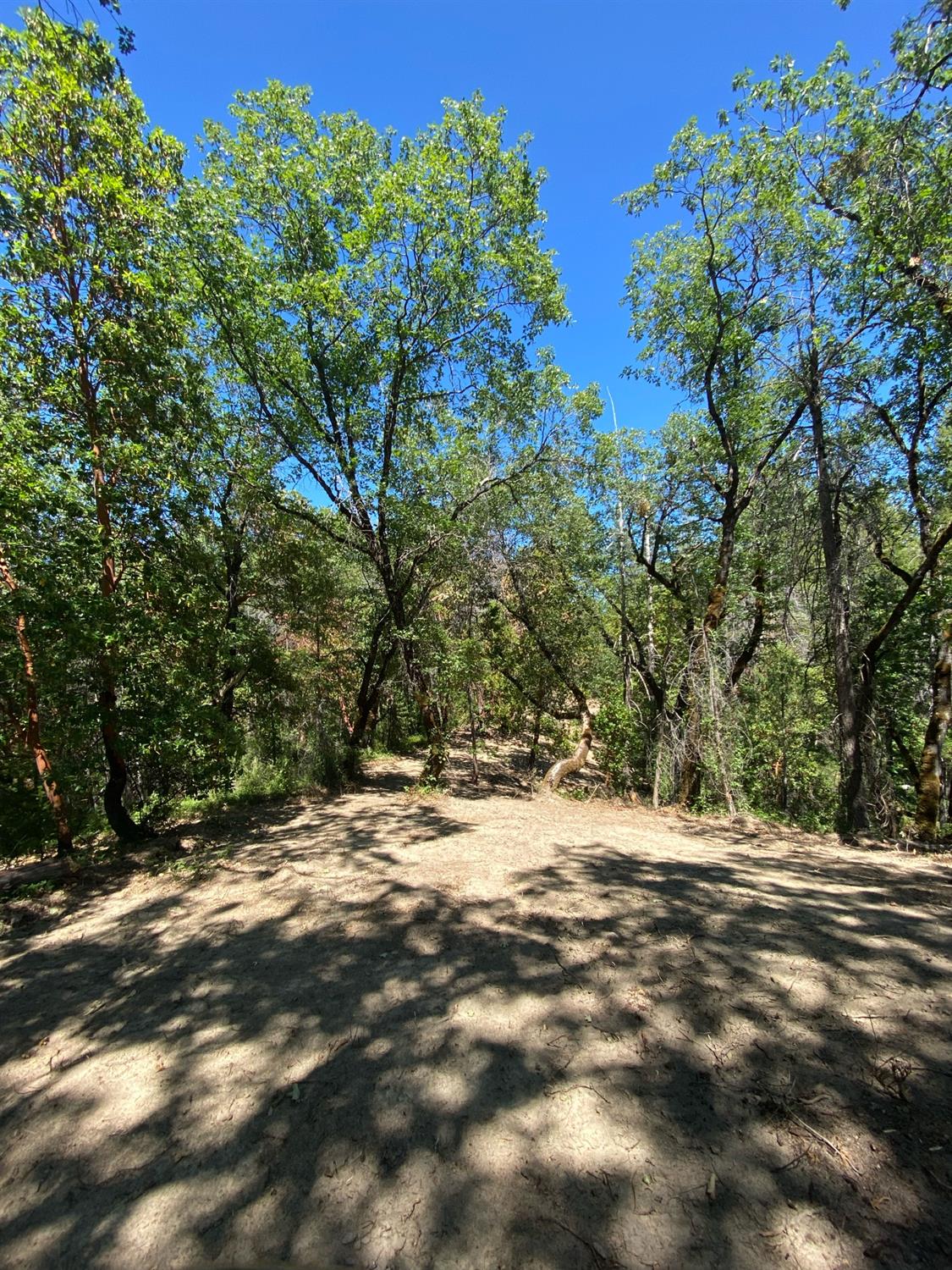 Ridge Road, Camptonville, California image 17