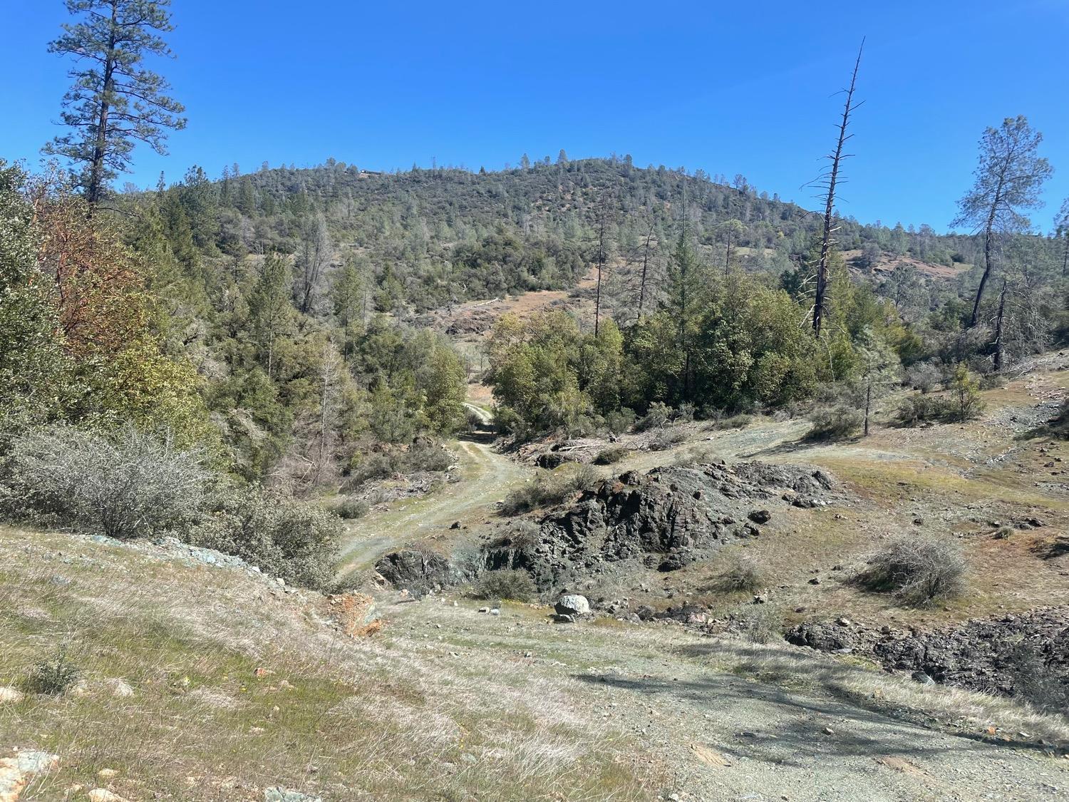 Photo of Foresthill Rd in Foresthill, CA