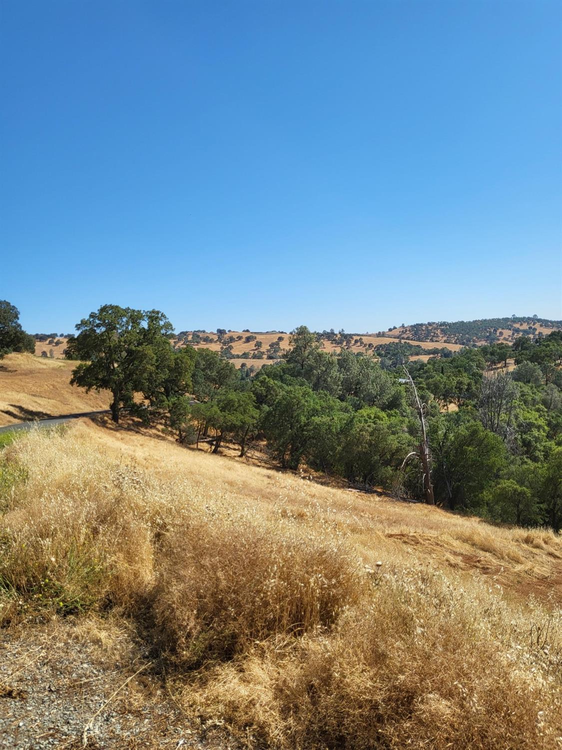 Last Chance Alley, Amador City, California image 4