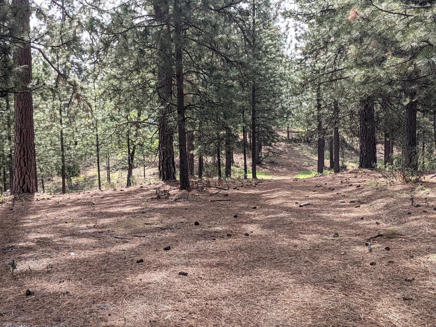 High View Lane, Weimar, California image 39