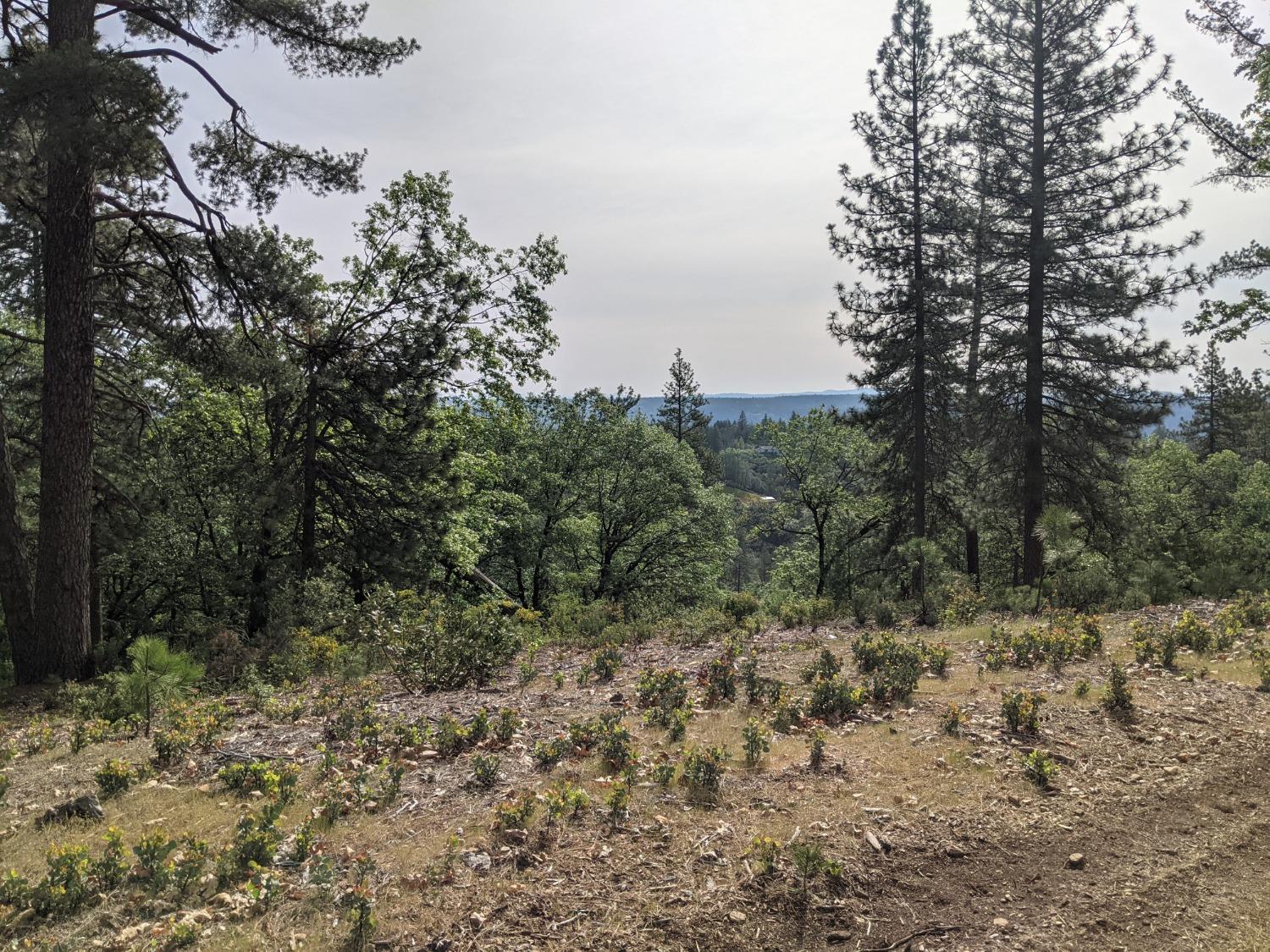 High View Lane, Weimar, California image 7