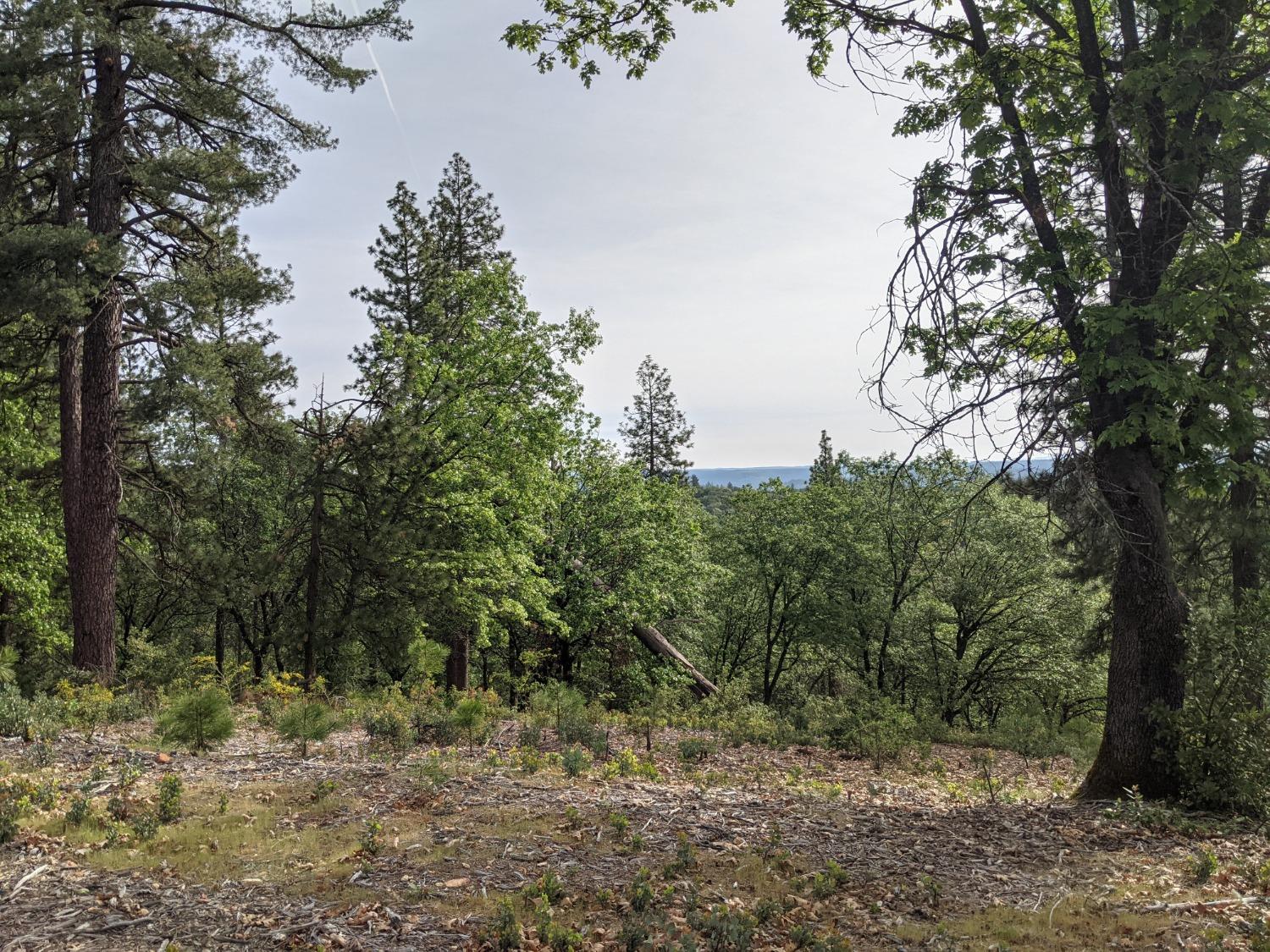 High View Lane, Weimar, California image 10