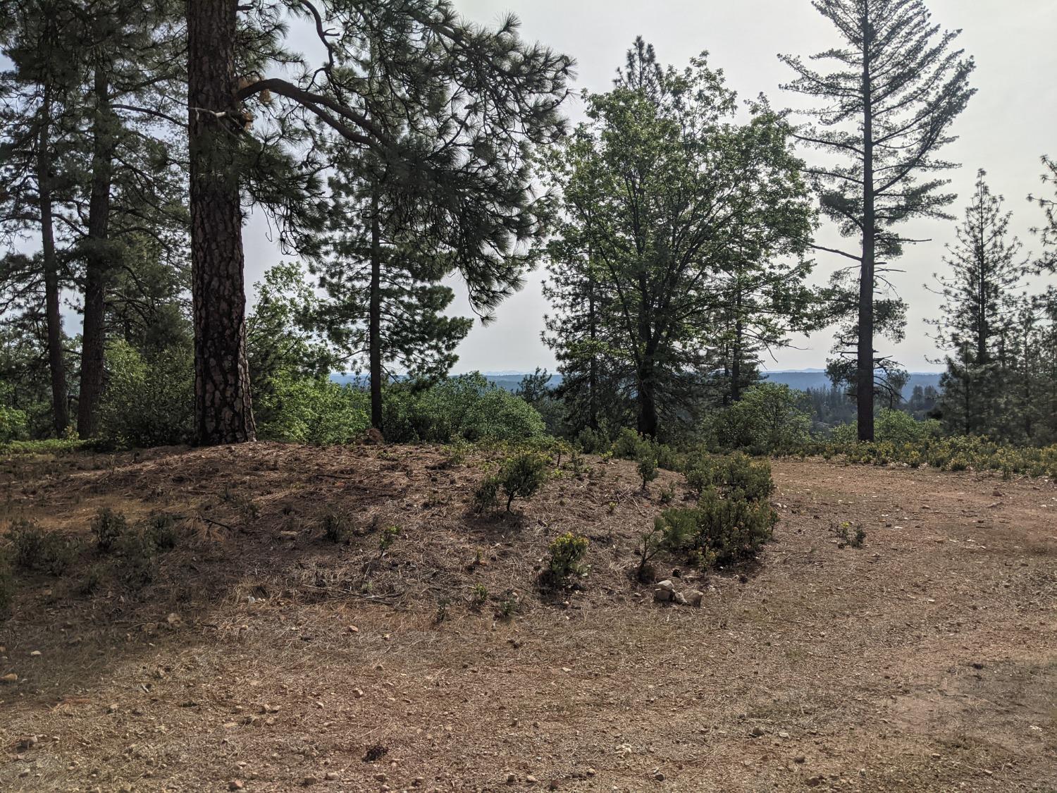 High View Lane, Weimar, California image 14