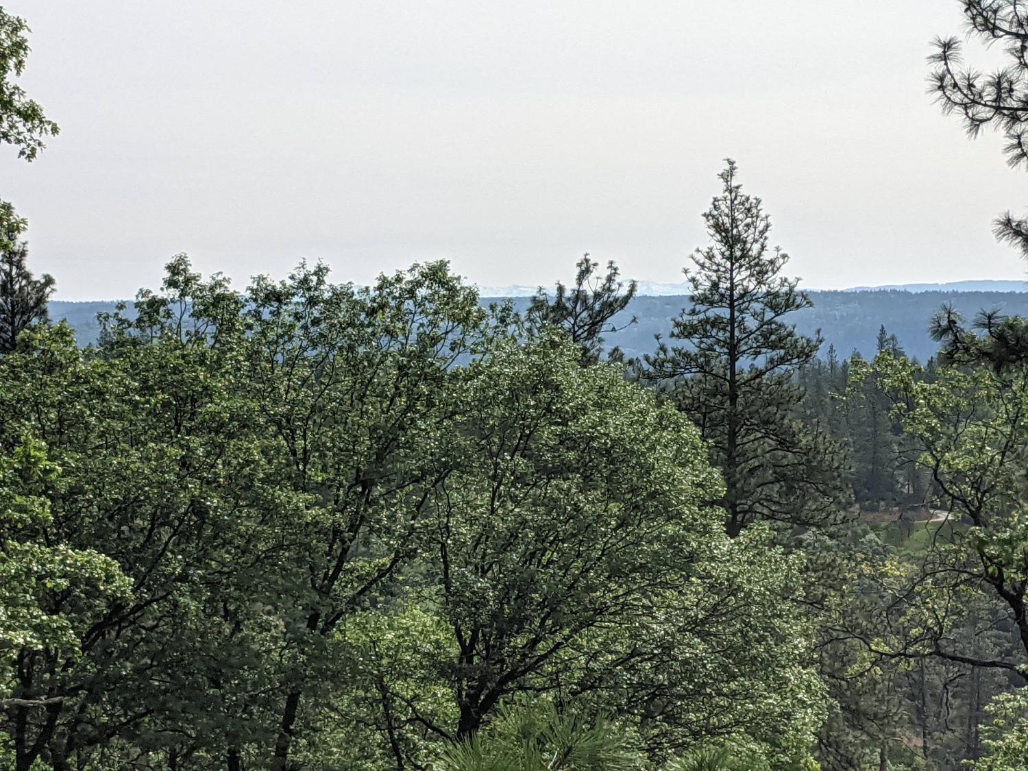 High View Lane, Weimar, California image 8