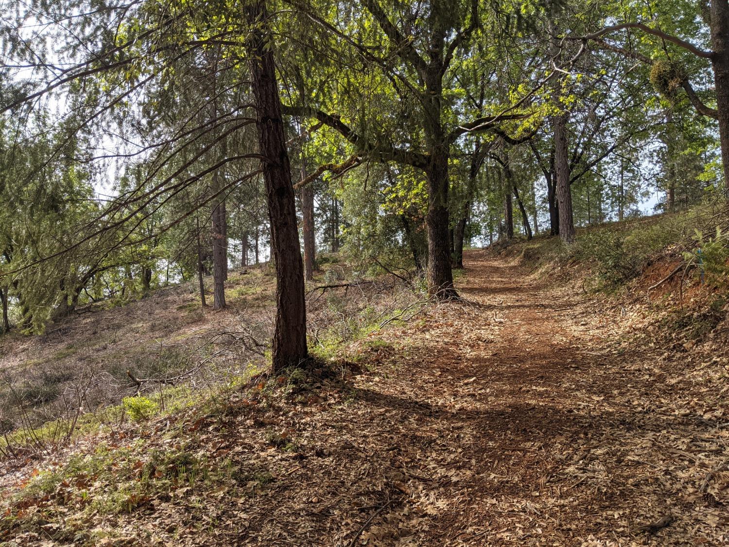 High View Lane, Weimar, California image 6