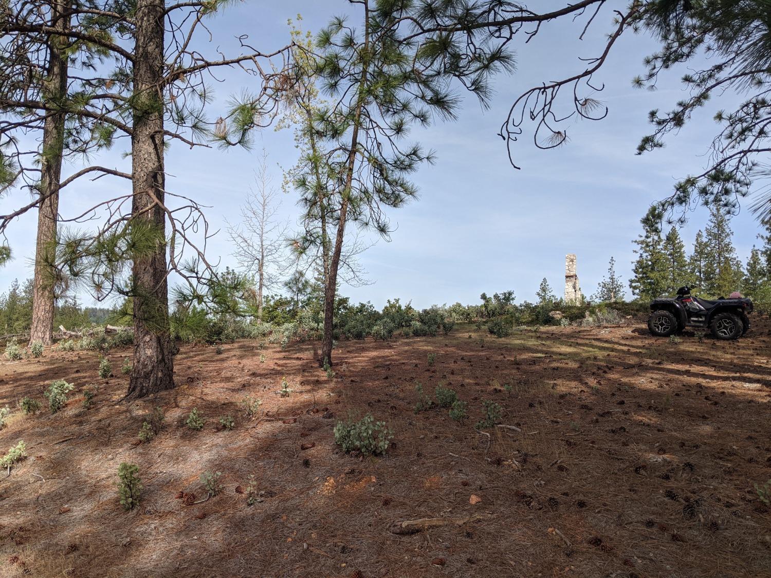 High View Lane, Weimar, California image 31