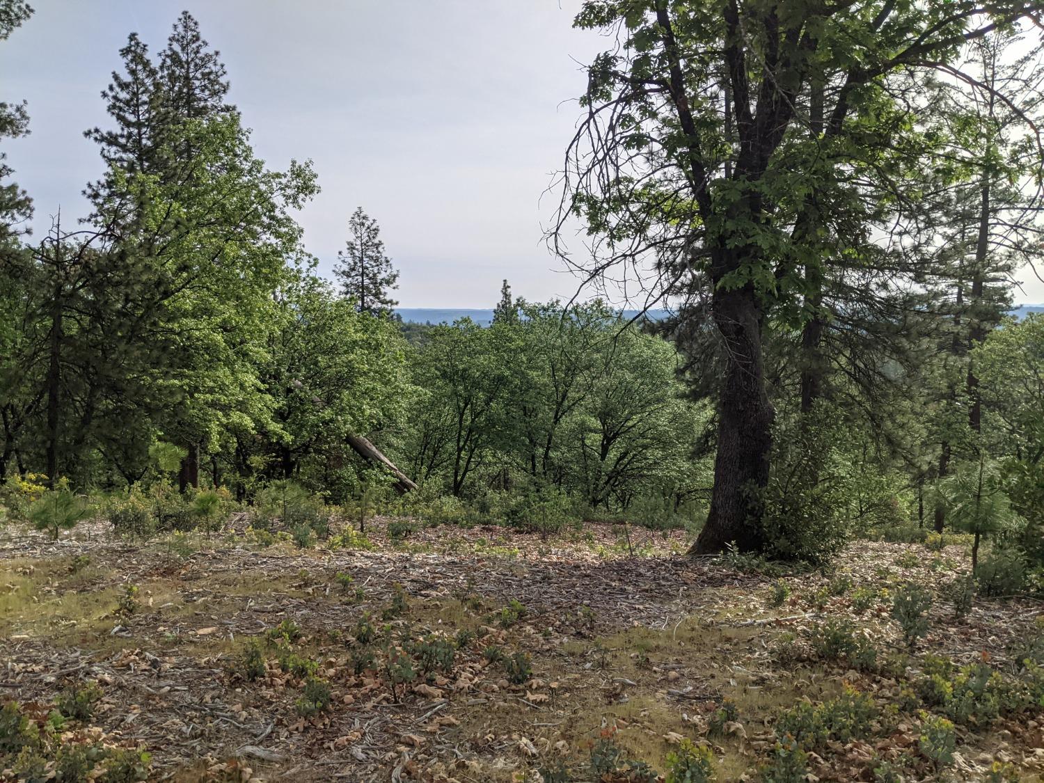 High View Lane, Weimar, California image 9