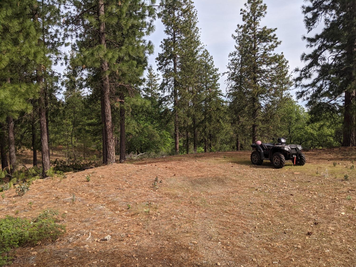 High View Lane, Weimar, California image 17