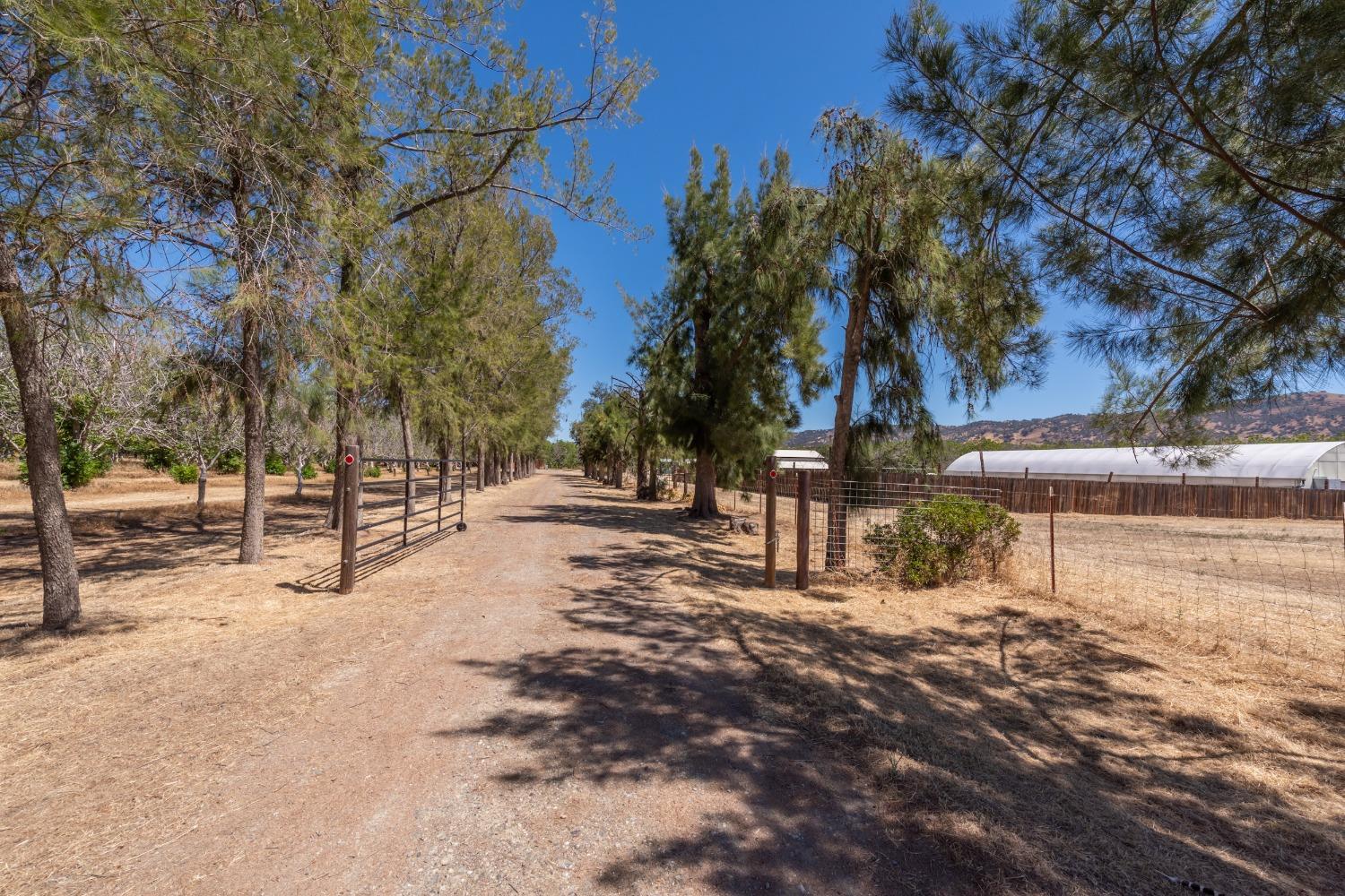 County Road 49, Guinda, California image 8