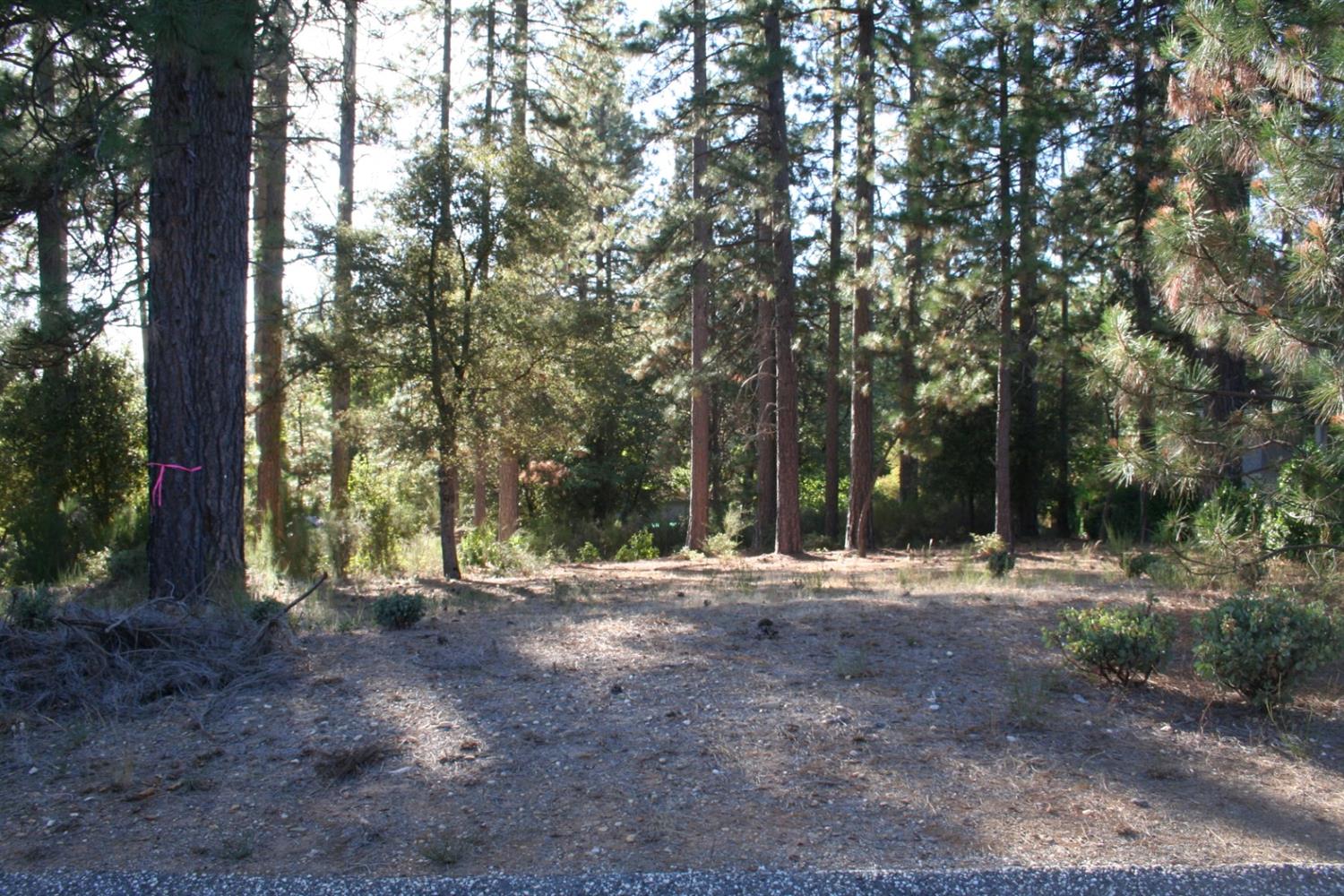 Photo of 651 Chief Kelly Dr in Nevada City, CA