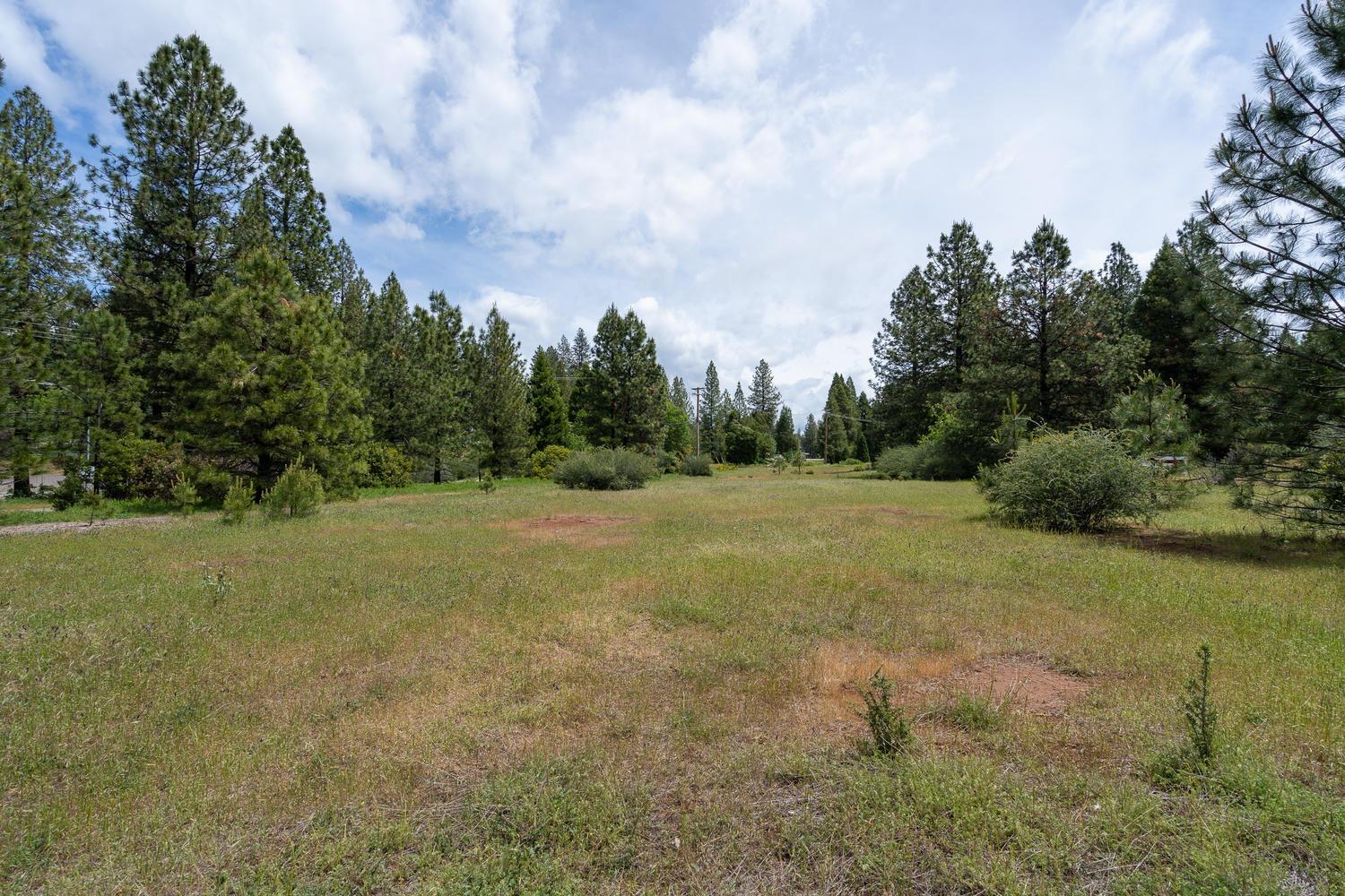 Photo of 3131 Sierra Blanca Dr in Camino, CA