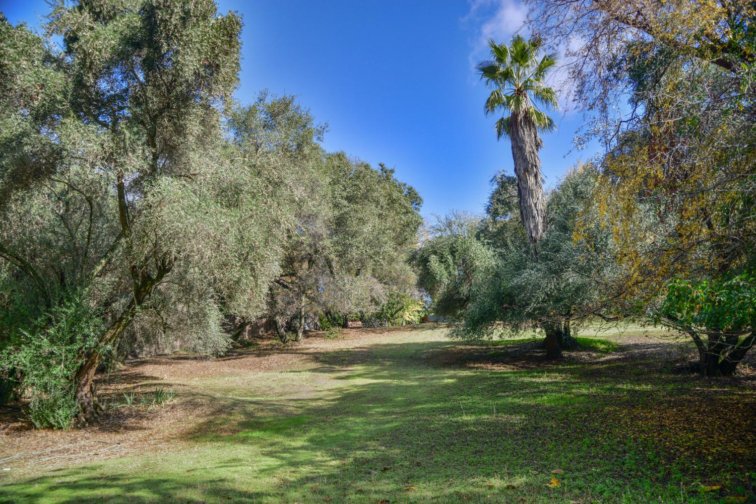 Here's your opportunity to own one of the last remaining residential lots right by the American River Trail access! This buildable site has a possible building pad (after set backs) of approximately 4,480 square feet! You'll appreciate the mature trees, privacy, location and life style of old Fair Oaks by the river! Come build your dream home today!