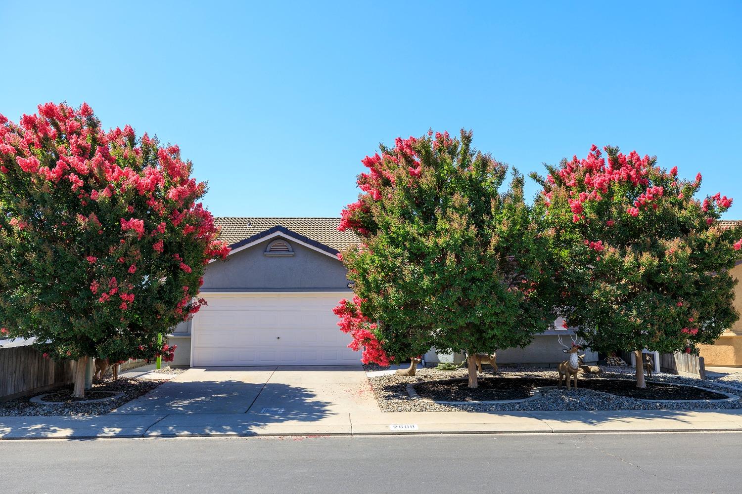 Detail Gallery Image 1 of 1 For 2608 Bernstein Dr, Modesto,  CA 95358 - 3 Beds | 2 Baths