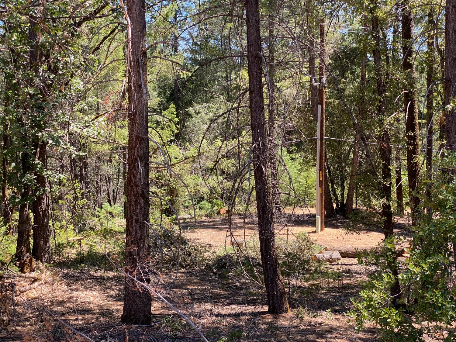 Photo of 1111 Plutes Wy in Colfax, CA