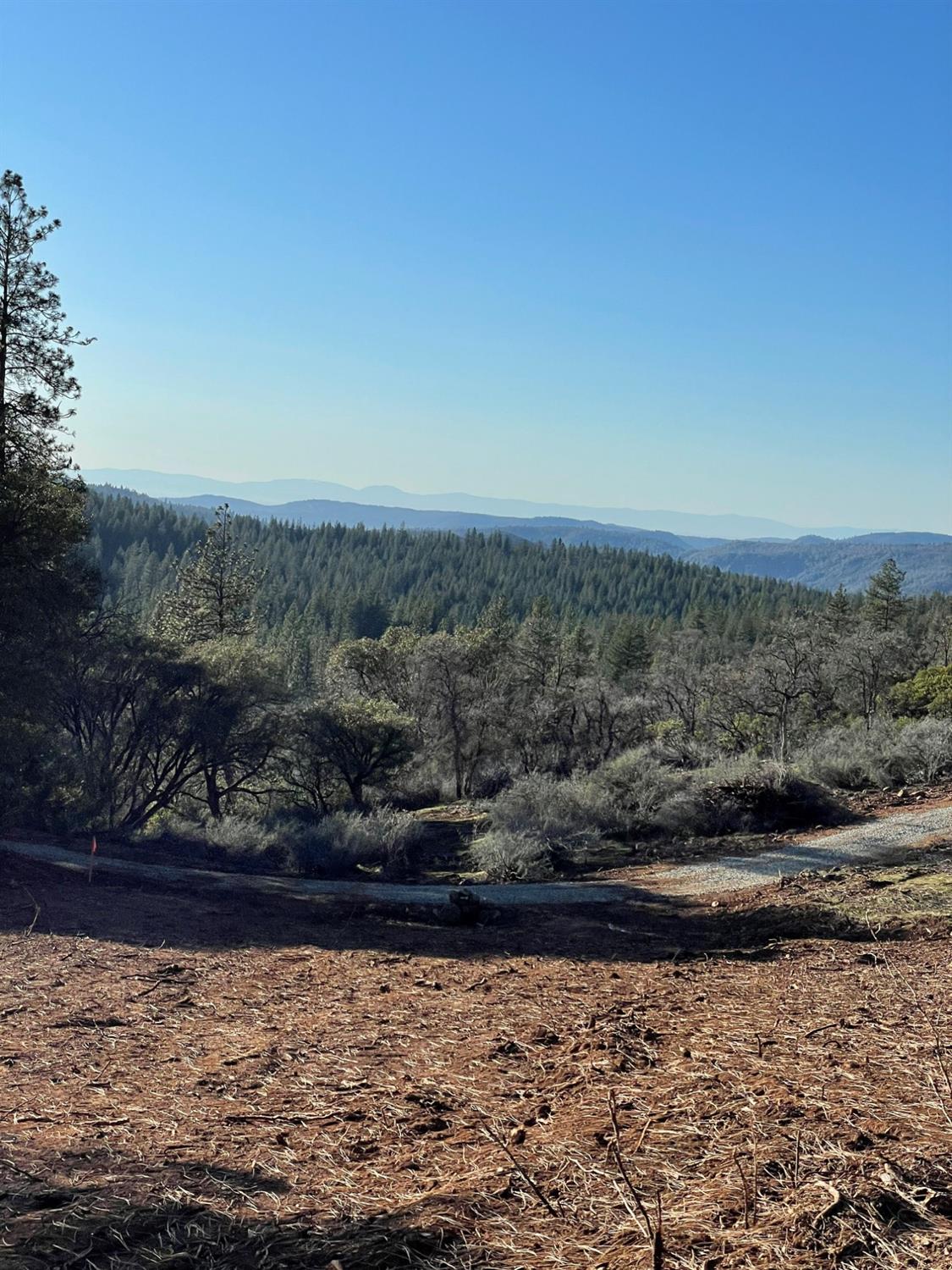 North Bloomfield Road, Nevada City, California image 5