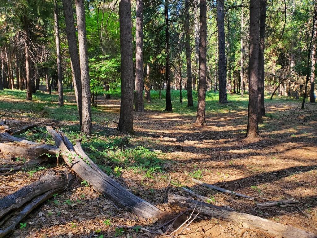 Pasquale Road, Nevada City, California image 1