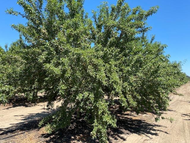 2825 Turner Road, Ceres, CA 95307