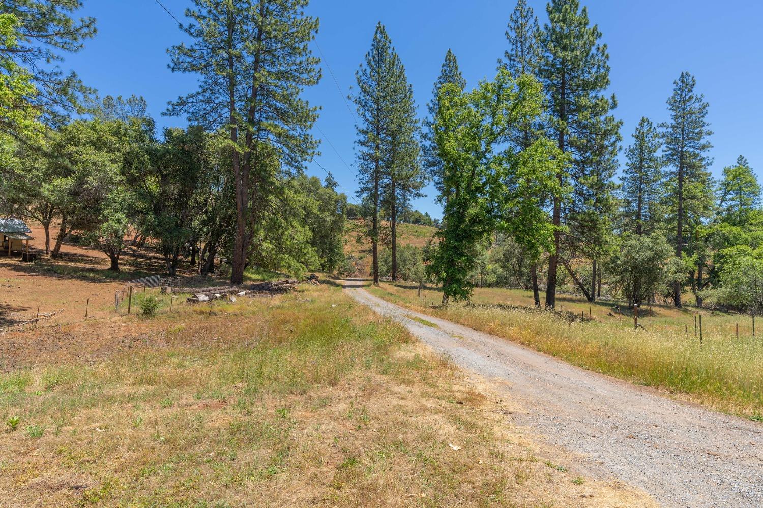 4564 Railroad Flat Road, Mountain Ranch, CA 95246