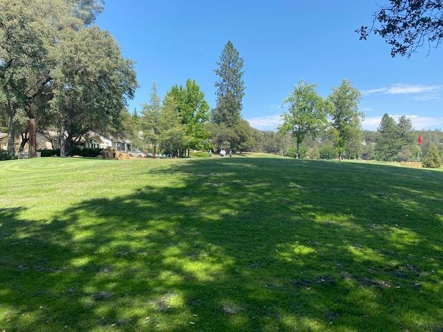 Photo of 11665 Redwing Ct in Penn Valley, CA