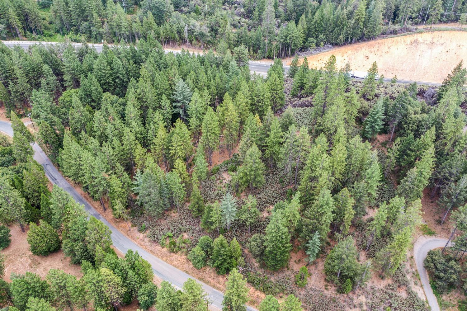 Photo of Norton Grade Rd in Colfax, CA